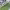 https://res.cloudinary.com/billionhands/image/upload/v1779759702/items/dcmqc9ot2a2xvxixlvdx.jpg-3cover
