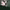 https://res.cloudinary.com/billionhands/image/upload/v1779762500/items/vax1ngfy0uzztqse4grr.webp-1cover