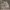 https://res.cloudinary.com/billionhands/image/upload/v1779763508/items/oqeskoearpxezwgqxujs.jpg-0cover