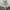 https://res.cloudinary.com/billionhands/image/upload/v1779763514/items/b8rbgexhj104jftbbznd.jpg-3cover