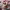 https://res.cloudinary.com/billionhands/image/upload/v1779763737/items/x1yniiegvc802d8dyydp.jpg-2cover