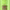 https://res.cloudinary.com/billionhands/image/upload/v1779769885/items/hchyrjbg4dozllvplwxw.jpg-3cover