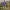https://res.cloudinary.com/billionhands/image/upload/v1779770104/items/zwessnwyf8q9gowcnuks.jpg-3cover