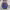 https://res.cloudinary.com/billionhands/image/upload/v1779770714/items/x1q76f7pvnhzwjrzf6yx.jpg-0cover