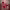 https://res.cloudinary.com/billionhands/image/upload/v1779771453/items/rodjrhvrd2nnpbqkasyj.webp-2cover