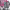 Tendencia del Limpiador de Vapor para Microondas cover