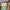 https://res.cloudinary.com/billionhands/image/upload/v1779773274/items/puserigw0jdothwarxcl.jpg-1cover