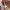 https://res.cloudinary.com/billionhands/image/upload/v1779773276/items/cg0xqdda2oozog3uj44c.jpg-3cover