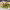 https://res.cloudinary.com/billionhands/image/upload/v1779776802/items/hv3jwcy2yprfp5gmclny.webp-0cover