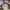 https://res.cloudinary.com/billionhands/image/upload/v1779777366/items/w1px8q1bfevz1at2umvx.jpg-1cover