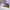 https://res.cloudinary.com/billionhands/image/upload/v1779779745/items/frg7qjqxv2fthw7eeaqr.jpg-0cover