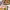 https://res.cloudinary.com/billionhands/image/upload/v1779780653/items/ucodgravkfetirir2zyc.webp-1cover