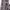 https://res.cloudinary.com/billionhands/image/upload/v1779782854/items/ky3ssvffqsecvpwqakqu.jpg-2cover