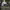 https://res.cloudinary.com/billionhands/image/upload/v1779782855/items/ubfsghcgk83whvc39ysj.jpg-2cover