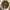 https://res.cloudinary.com/billionhands/image/upload/v1779784125/items/uoylatqmbjmmx4kqfbrh.jpg-3cover