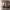 https://res.cloudinary.com/billionhands/image/upload/v1779788175/items/ufxrnxohgbdlfbxsi2ud.webp-0cover