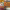 https://res.cloudinary.com/billionhands/image/upload/v1779790436/items/ycwwpscwuylkkfohhj9d.webp-1cover