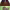 https://res.cloudinary.com/billionhands/image/upload/v1779793116/items/eweolifb5hsphpfp6j4f.webp-0cover
