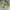https://res.cloudinary.com/billionhands/image/upload/v1779795430/items/sd53jqftel3wgvyzttgp.jpg-3cover
