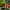 AvoBeer cover