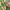 https://res.cloudinary.com/billionhands/image/upload/v1779798495/items/mevy9cvymzsqjhha1wxz.jpg-3cover