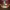 https://res.cloudinary.com/billionhands/image/upload/v1779799774/items/pmbuuqjncahnuktmqxio.jpg-3cover