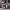 https://res.cloudinary.com/billionhands/image/upload/v1779799791/items/pin7mqyqxghlrifqcuh5.jpg-3cover
