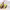 https://res.cloudinary.com/billionhands/image/upload/v1779800386/items/re8ezeh6oagfkushoud8.jpg-1cover