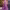 Rapunzel's Dress cover