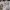 https://res.cloudinary.com/billionhands/image/upload/v1779800586/items/ljv8lzxbryfl3cjvrhw6.webp-3cover