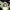 https://res.cloudinary.com/billionhands/image/upload/v1779801127/items/aehls2yw0qbjhzclgfxk.jpg-0cover