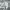 https://res.cloudinary.com/billionhands/image/upload/v1779802189/items/bngjnt0lmfy0qbnfvs4w.jpg-2cover