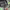 https://res.cloudinary.com/billionhands/image/upload/v1779802302/items/xgfhrrexdeusj9fvtswb.jpg-1cover