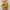https://res.cloudinary.com/billionhands/image/upload/v1779803203/items/dqi2srxuq0qidjdefiym.jpg-3cover