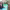 Mohamed Beiraghdary (Mo Vlogs) cover