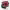 Ferrari 12Cilindri V12 cover
