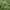 https://res.cloudinary.com/billionhands/image/upload/v1779807523/items/i1yr7exdowcakqewkzr0.jpg-0cover
