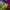 https://res.cloudinary.com/billionhands/image/upload/v1779807529/items/imjxricvgrdk1dauxury.webp-2cover