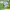 https://res.cloudinary.com/billionhands/image/upload/v1779807531/items/gmkhtky9pegr1fyohzgf.webp-2cover