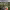 https://res.cloudinary.com/billionhands/image/upload/v1779808050/items/arr2lumi9nwyguop2tqq.webp-1cover