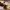 https://res.cloudinary.com/billionhands/image/upload/v1779808073/items/phkg02vpftbucorch7sf.webp-2cover