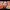 https://res.cloudinary.com/billionhands/image/upload/v1779808849/items/tz21z2coflfwvuknfxs9.jpg-1cover