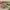 https://res.cloudinary.com/billionhands/image/upload/v1779813196/items/jus7bvtvkzvvywkkhnrn.jpg-1cover