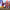 https://res.cloudinary.com/billionhands/image/upload/v1779814319/items/p4br4bhv9kpjrbit1cfq.jpg-3cover