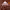 https://res.cloudinary.com/billionhands/image/upload/v1779816371/items/wxd3spij80bxxxxtsbnr.webp-3cover