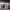 https://res.cloudinary.com/billionhands/image/upload/v1779816384/items/thh6gow9rhgzyd0i0ne8.webp-2cover