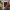 https://res.cloudinary.com/billionhands/image/upload/v1779816498/items/dzn7wxir5vuqli1xqqht.webp-0cover