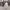 https://res.cloudinary.com/billionhands/image/upload/v1779817086/items/rw6zr2dzwlmtd1mzs4jx.jpg-3cover