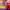 https://res.cloudinary.com/billionhands/image/upload/v1779817231/items/jqgzjfh9zrvpkldehesx.jpg-3cover