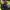 https://res.cloudinary.com/billionhands/image/upload/v1779817708/items/iwplhr1z1xrawyx9ffpv.jpg-3cover